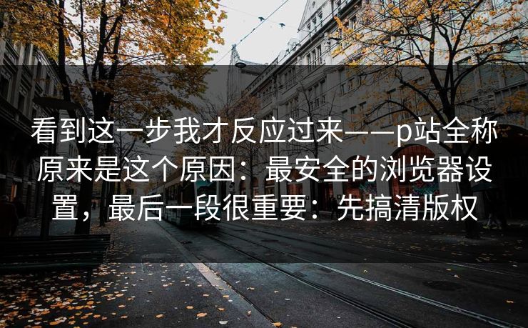 看到这一步我才反应过来——p站全称原来是这个原因：最安全的浏览器设置，最后一段很重要：先搞清版权